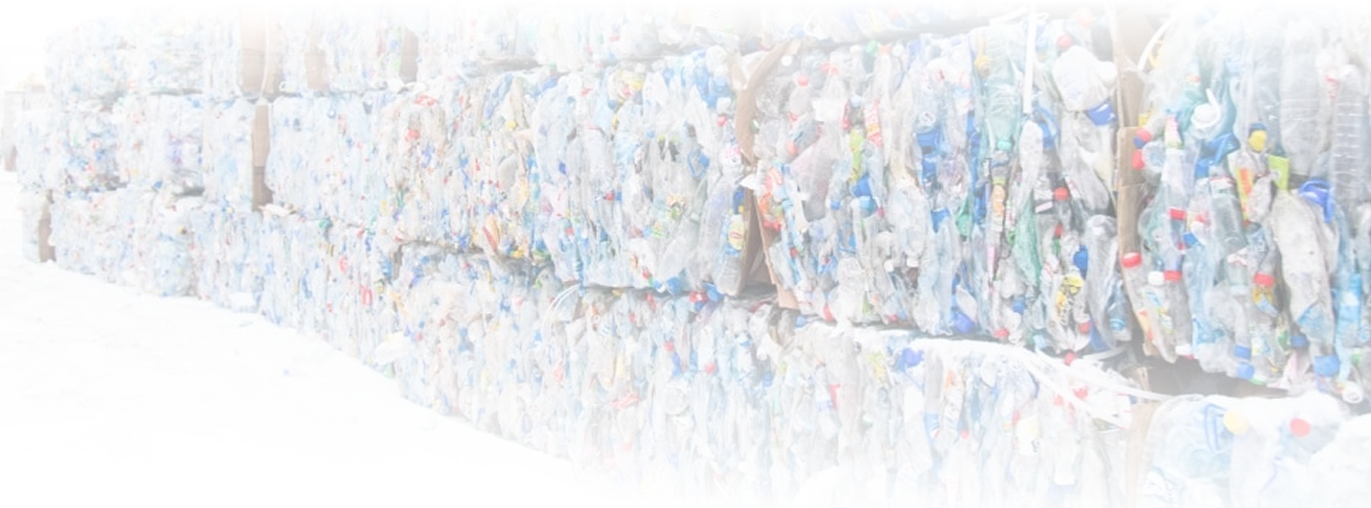 Descriptive Alt Text